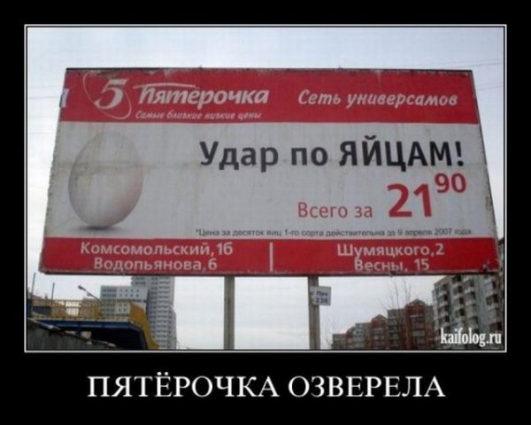 file_64664456