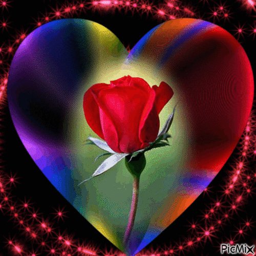 5df3fc7b17c5f3738c2e1355dae6577c