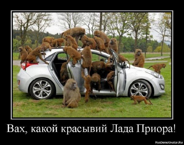 Вах, какой красивый автомобиль..