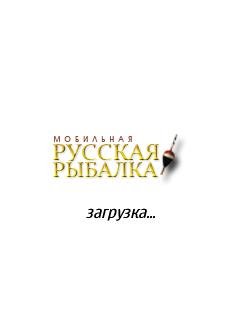 mrr