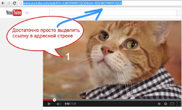 Программа для закачки видео UmmyVD