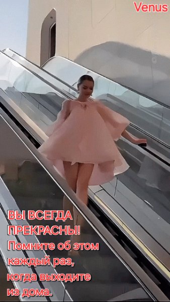 file_96902250