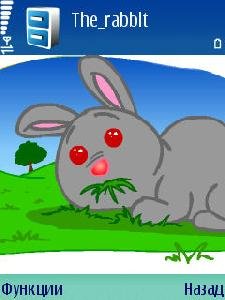 The rabbit