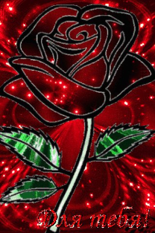 file_76290021