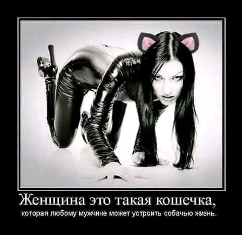 file_101352719