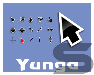 Yungas cursor
