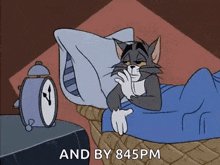 Tom-and-jerry-tom