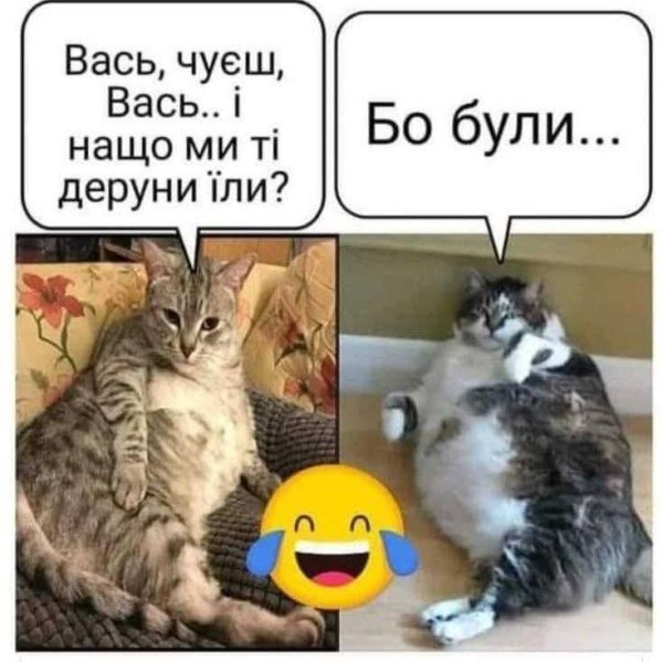 FB IMG 1777225591037
