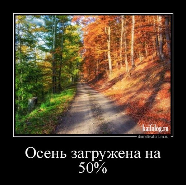 file_87839348