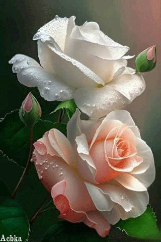 file_97696196