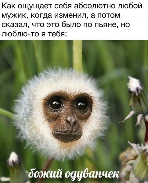 FB IMG 1778146929470