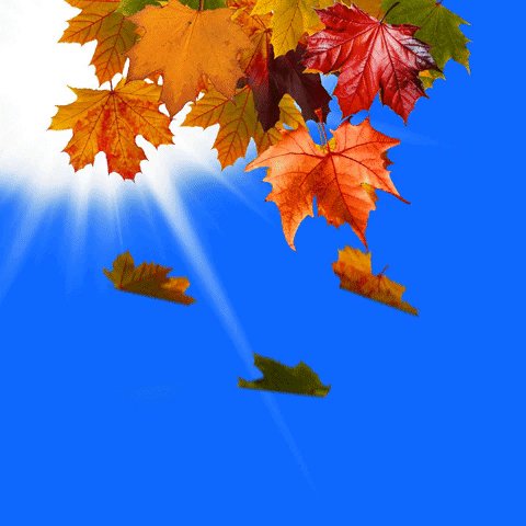 imagetext ru 31276