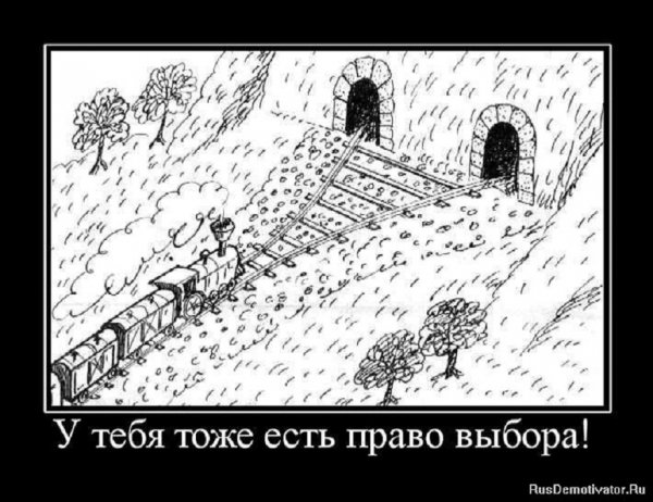 У тебя есть право выбора
