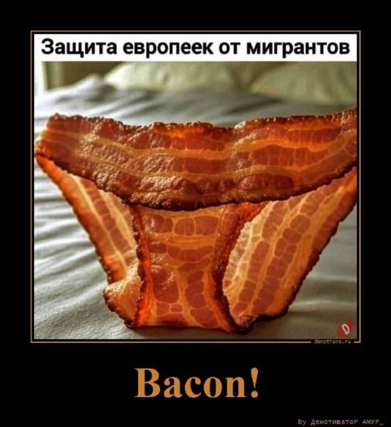 Защита от мигрантов