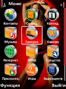 Polnaya zamena standarta