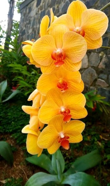 file_96269959