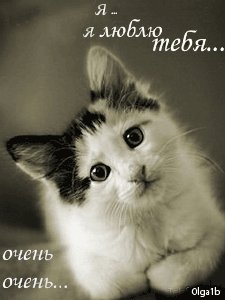 Aн.Я люблю тебя очень очень.7.5с.