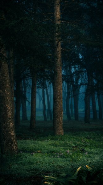 file_97354521