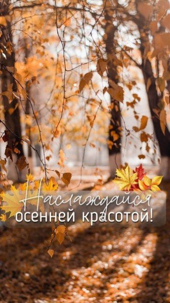 file_94791799