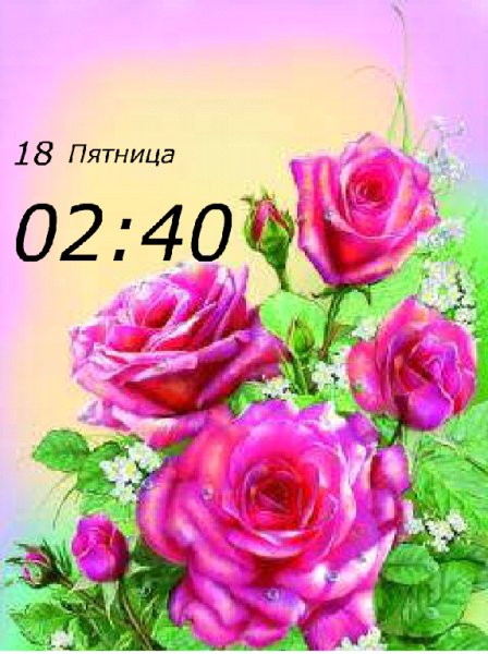 Розы