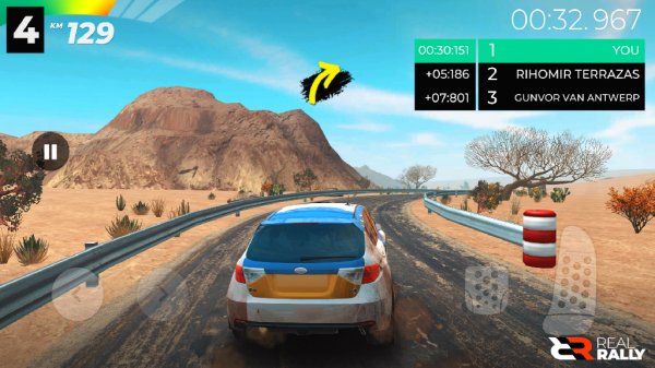 Real Rally v0.3.0 mods