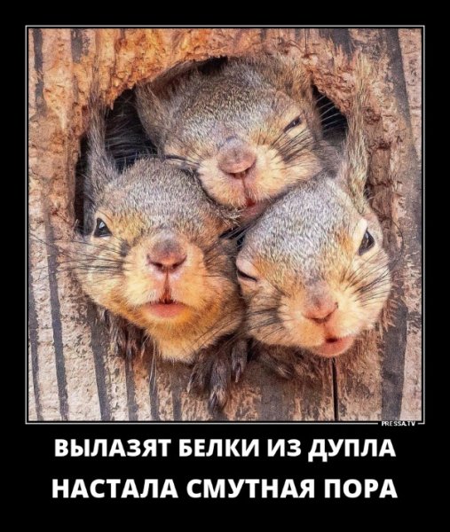 file_77474563