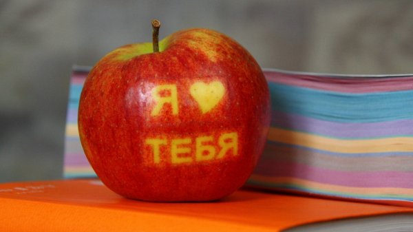 file_58629960