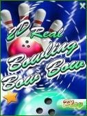 2D Real Bowling Bow Bow