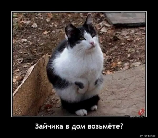 file_84671186