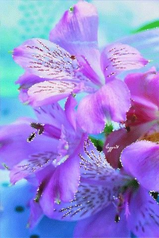 file_49861044