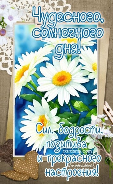 Чудесного солнечного дня!