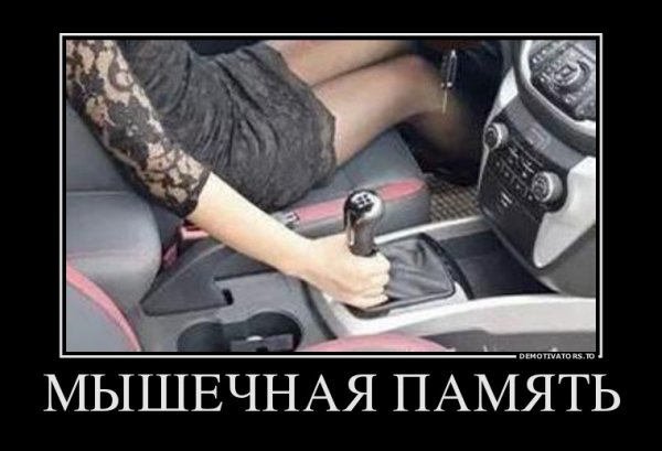 file_64621463
