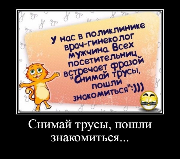 Снимай трусы, пошли знакомиться...