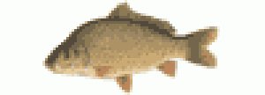 ukr fishing 2