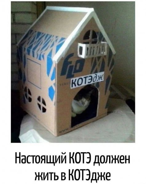 FB IMG 1778838255143