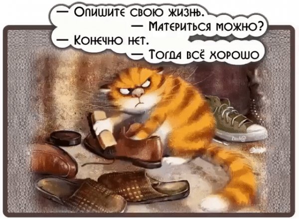 IMG 20181115 224708