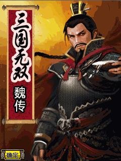 Wynasty Warriors Wei