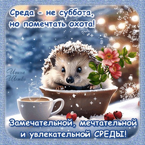 IMG 20251210 174111