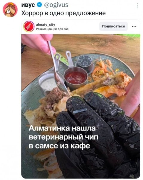 file_102579487