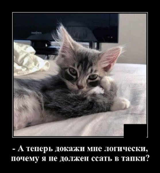 А теперь докажи мне...