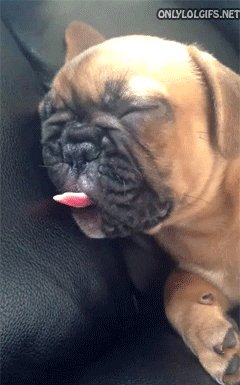 gif 1473878714
