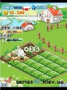 sogoyo town