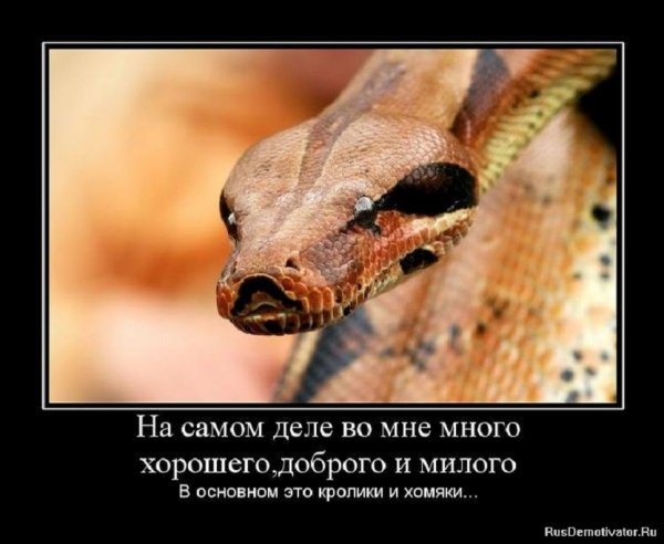 Да уж...