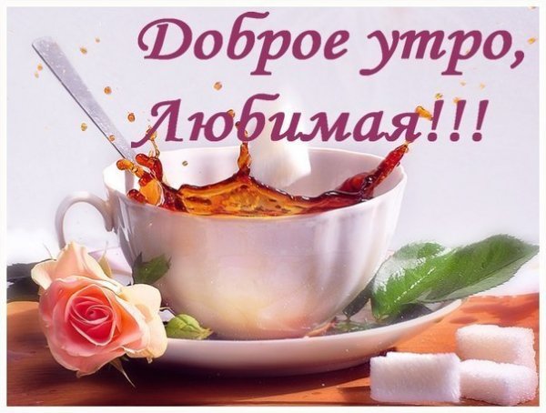 доброе утро любимая