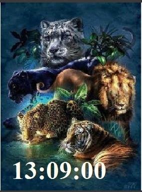 8 Дикие кошки ани