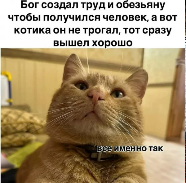 file_102580321