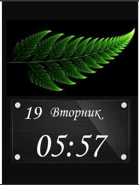 sample 42