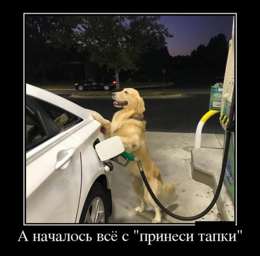 file_78334938
