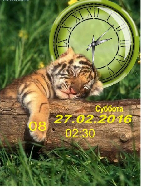 Сладкий сон