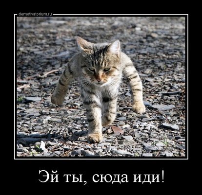 tmb demotivatorium ru ej ti suda idi 161622